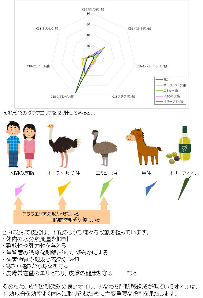 脂肪酸